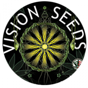 VisionSeeds