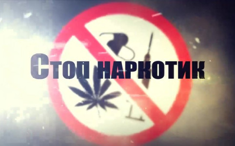 Дисклеймер